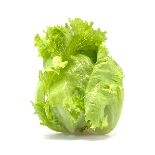 Lechuga Americana Orgánica
