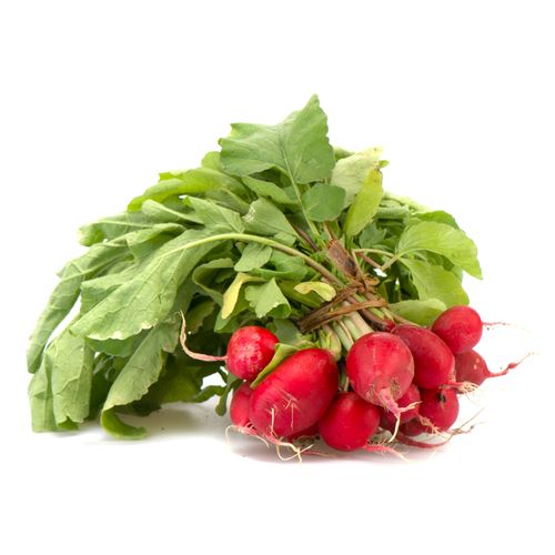 Rabanito Organico atado