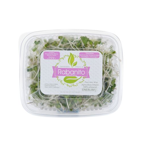 Germinado de Rabanito Enerlim