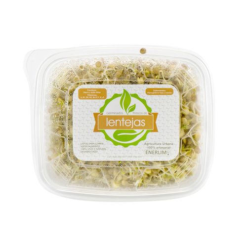 Germinado de Lentejas Enerlim
