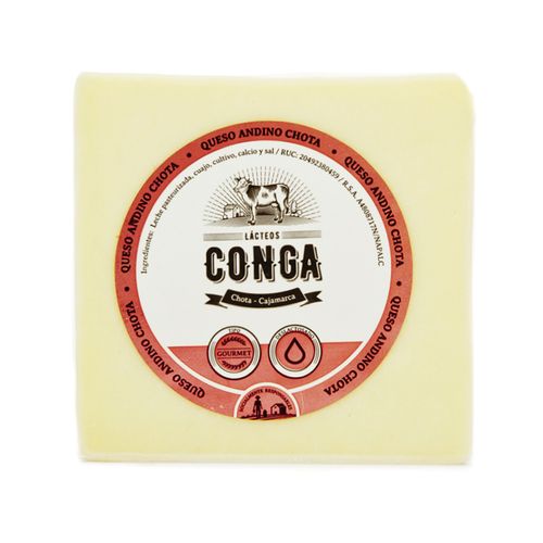 Queso Andino Madurado Lácteos Conga 500 g