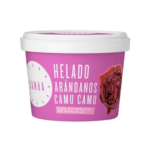 Helado de Arandano y Camu Camu Sanúa 4,5 Oz