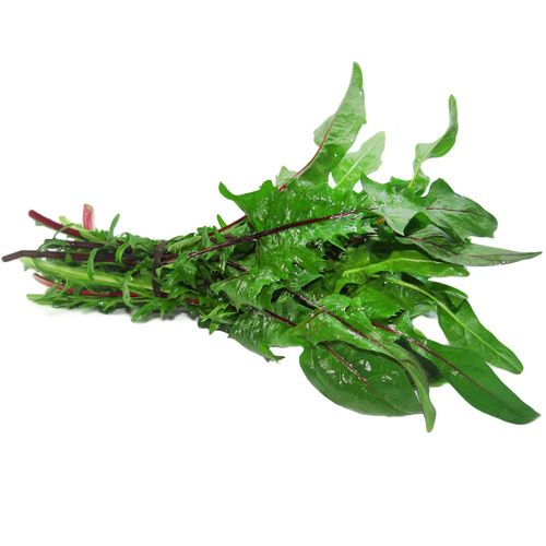 Diente de León Orgánico