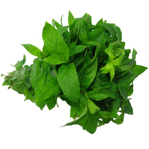 Menta Orgánica Atado