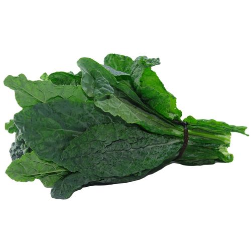 KALE HOJA VERDE LISA ORG ATADO