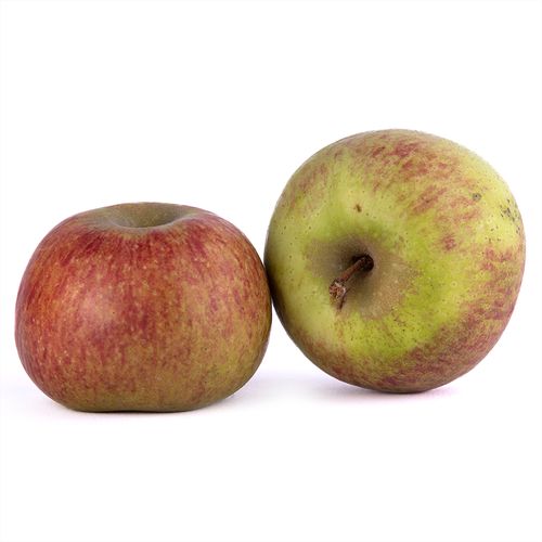 Manzana Santa Rosa kg